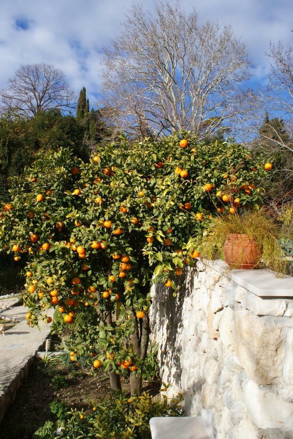 特斯特诺Three Oranges公寓 外观 照片